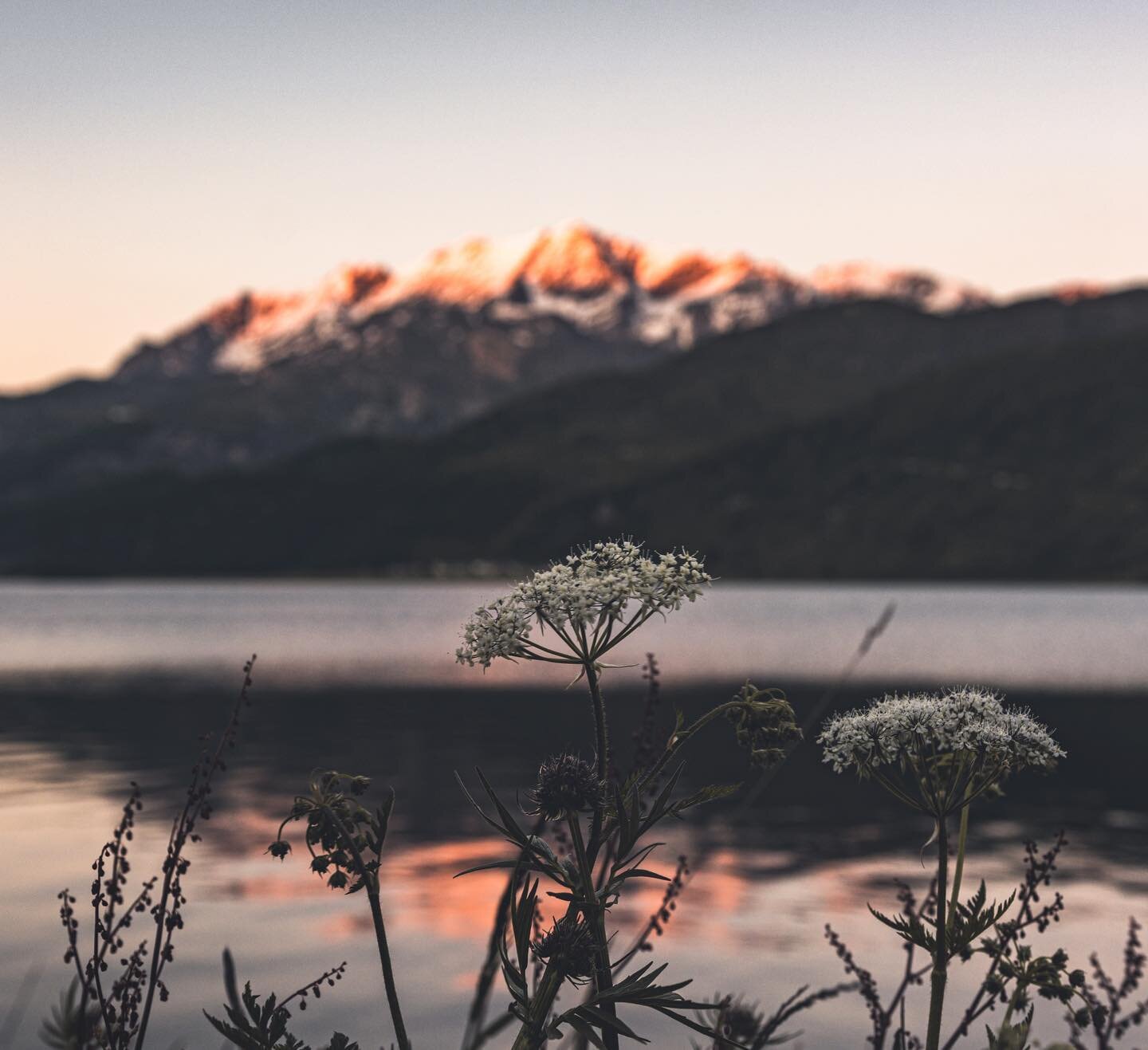 Like a wildfire 🌻

#quietinthewild #feelthealps #beautifuldestinations #symmetrykillers #mapify #allaboutadventures #campinglife #vanlife #moodygrams #sunset #seasonspoetry #folkcreative #reasontoroam #slowliving #littlelights #graubünden #engadin 