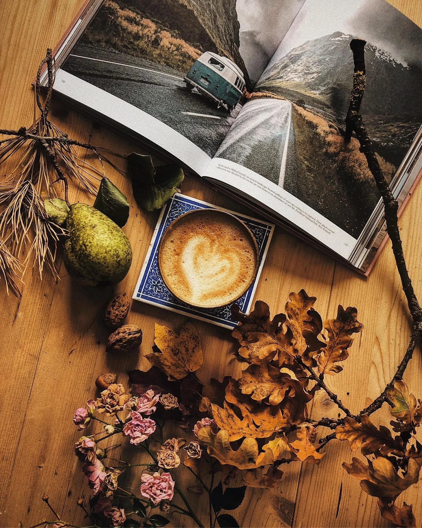 happiness of the season. that's how it looks like when we need a little inspo and tryna look instagrammable. book: forever wandering by @helloemilie.

we are preparing the launch of Fluorescence 3. did you know that it will come with a dynamic, alive