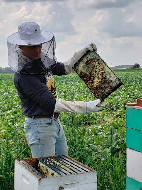 trent balduff inspecting hives