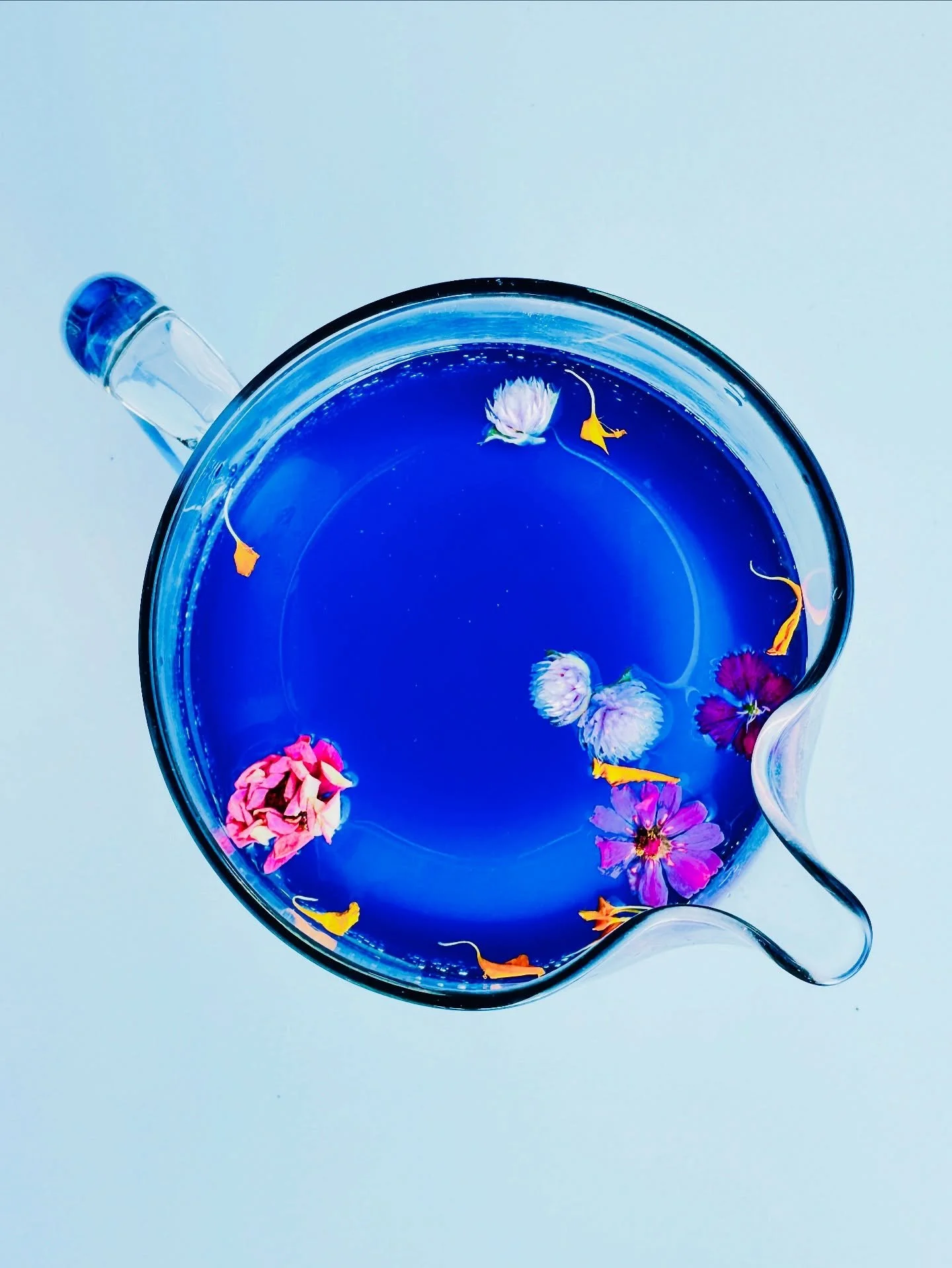 Imagine my delight when I moved to a farm with a thriving Butterfly Pea Flower bush! It&rsquo;s becoming the signature welcome beverage for our guests ✨🥂✨

#drinksexydrinks #swigsandgrinds
#colorsofnature #butterflypeaflower