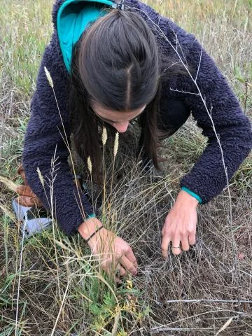 naturechallengegirl.png