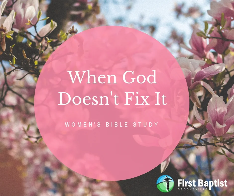 Women's Bible Study