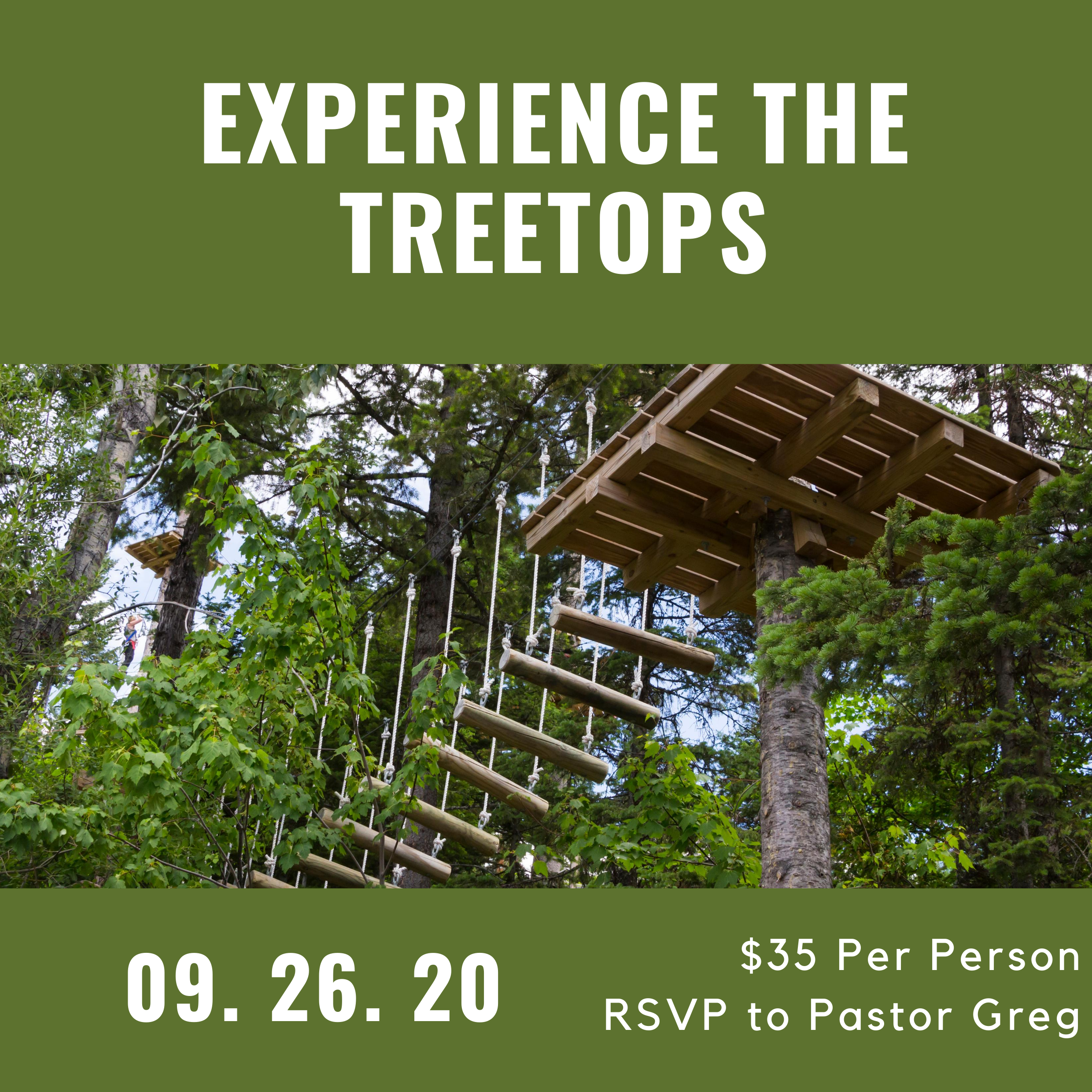 Experience The Treetops