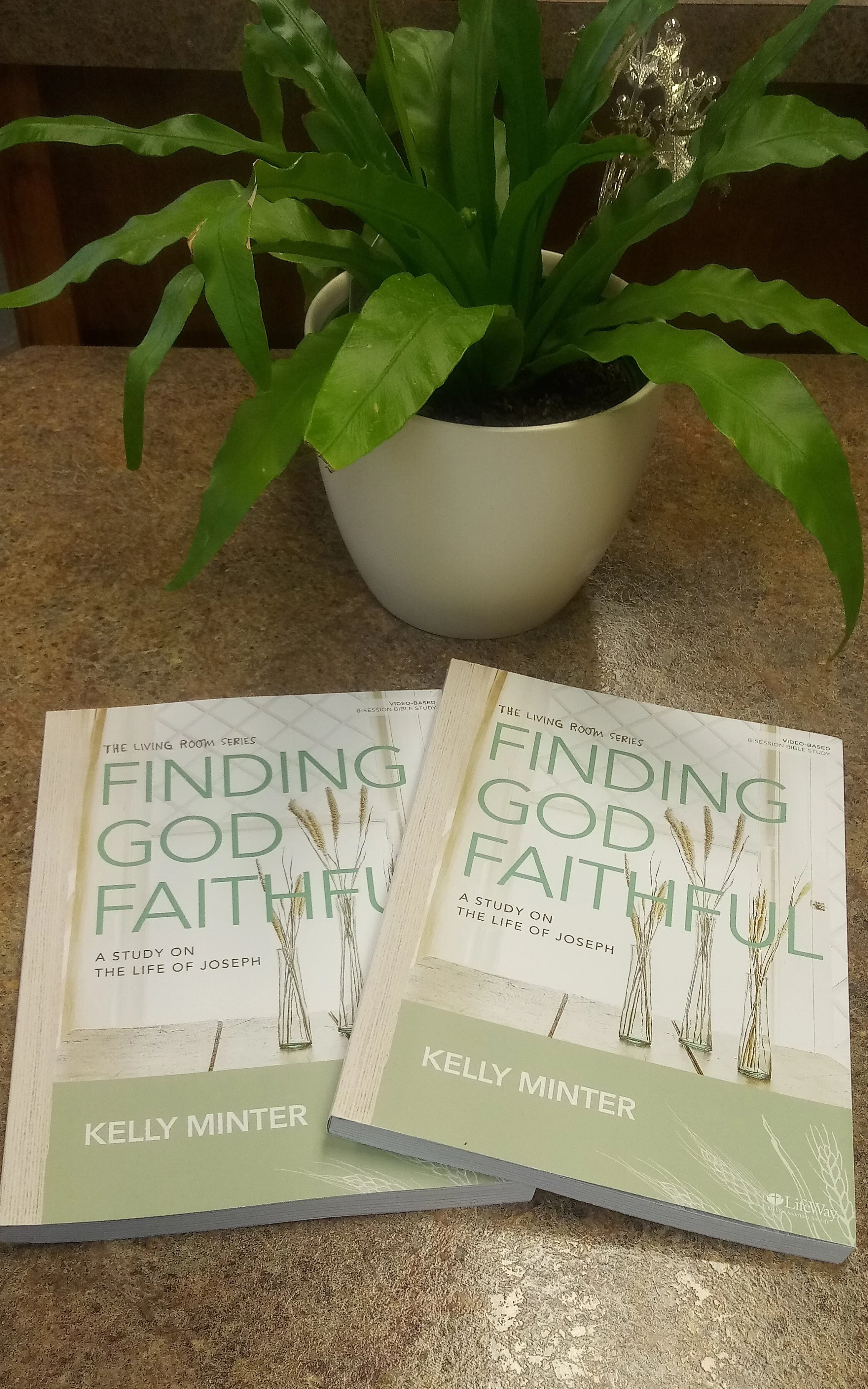 Finding God Faithful (Evening Study)