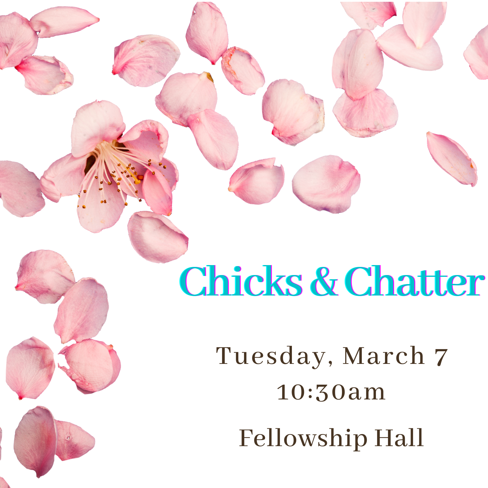 Chicks &amp; Chatter