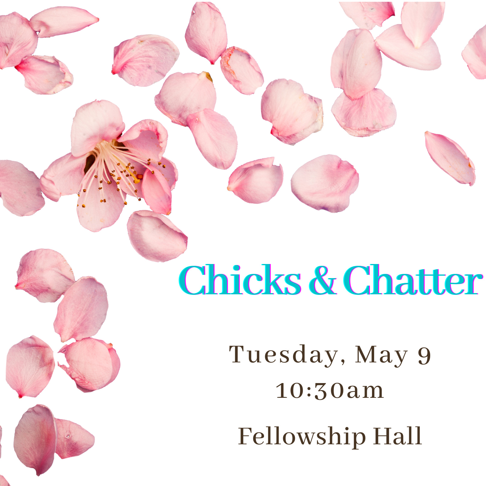 Chicks &amp; Chatter 
