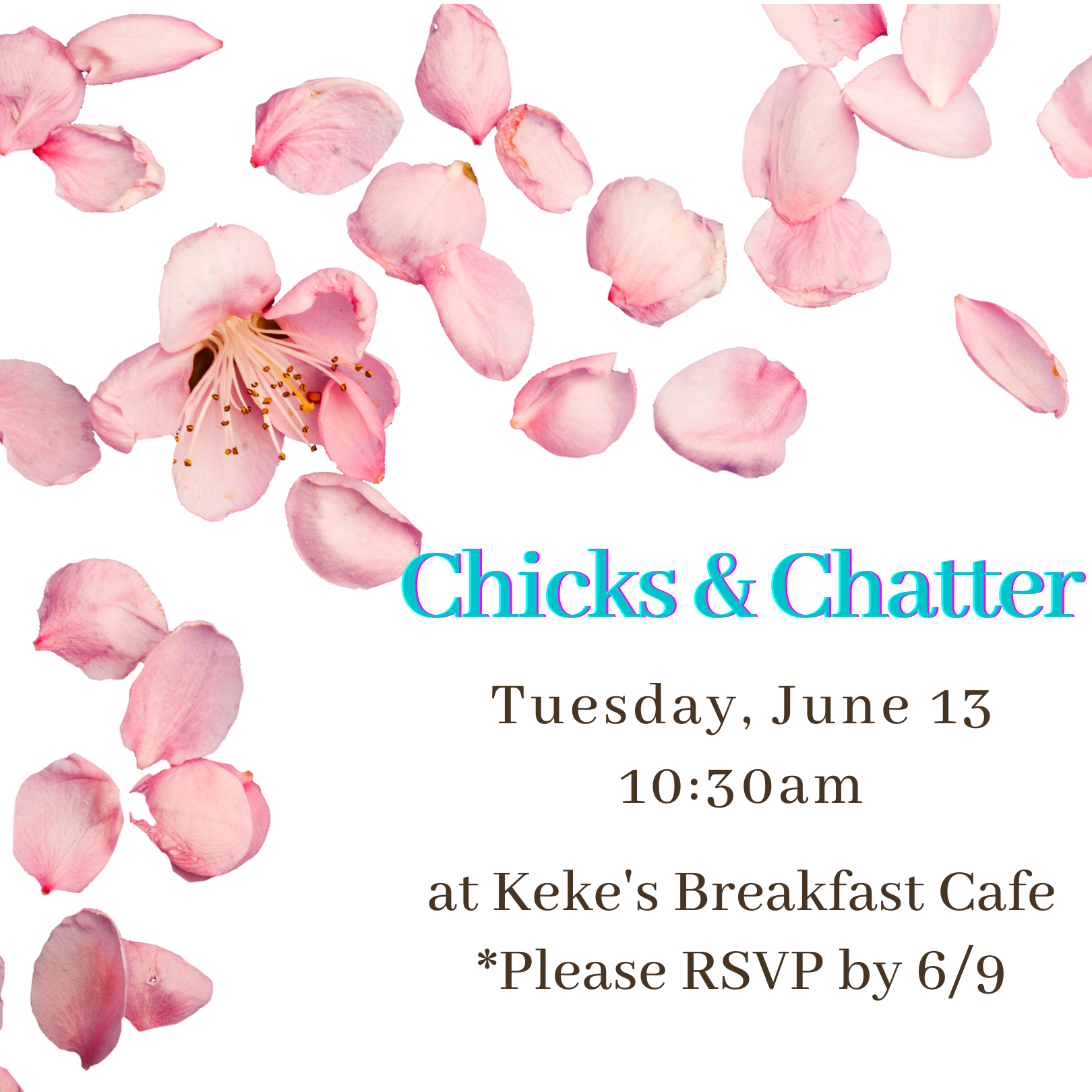 Chicks & Chatter
