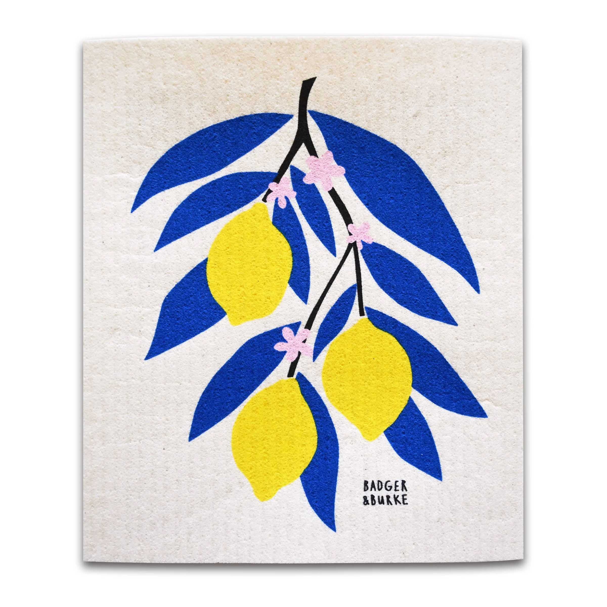 spongecloth-lemonbranch-2026.jpg