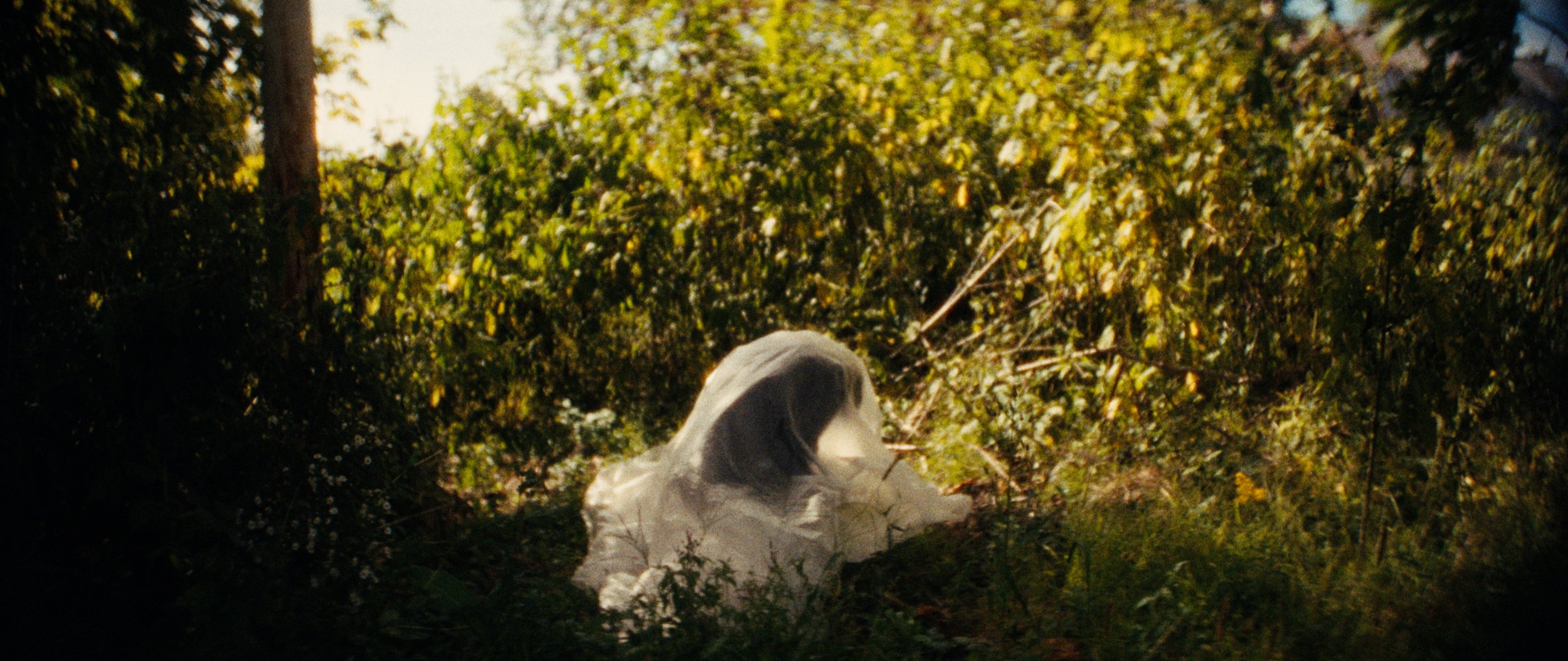 AIGH STILL 06.jpg