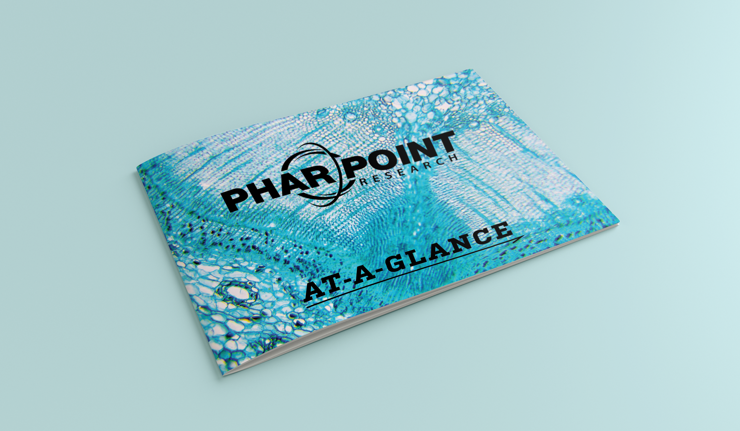At A Glance Cover Mockup.png