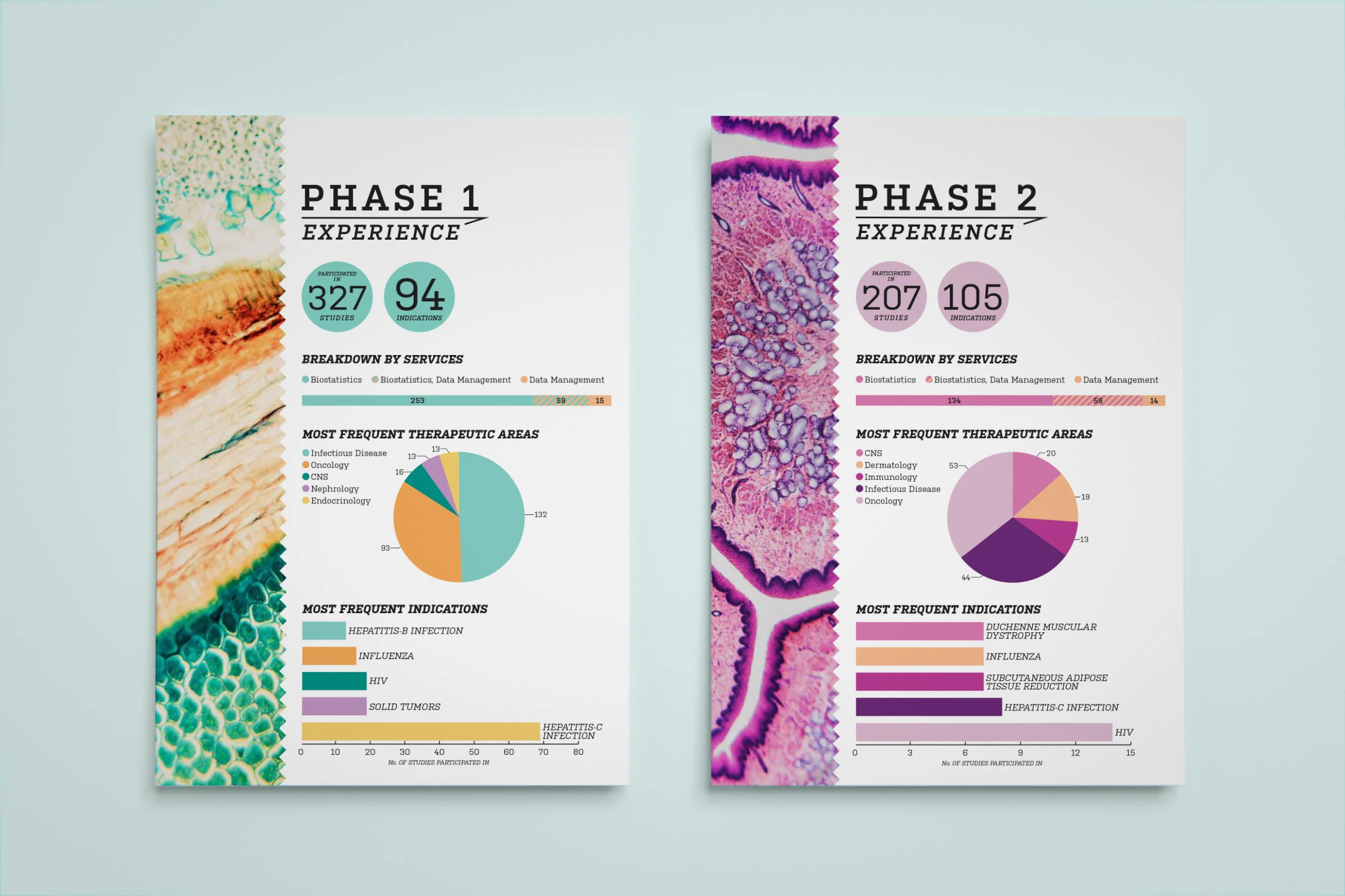 Phase 1_Phase 2 Mockups.jpg