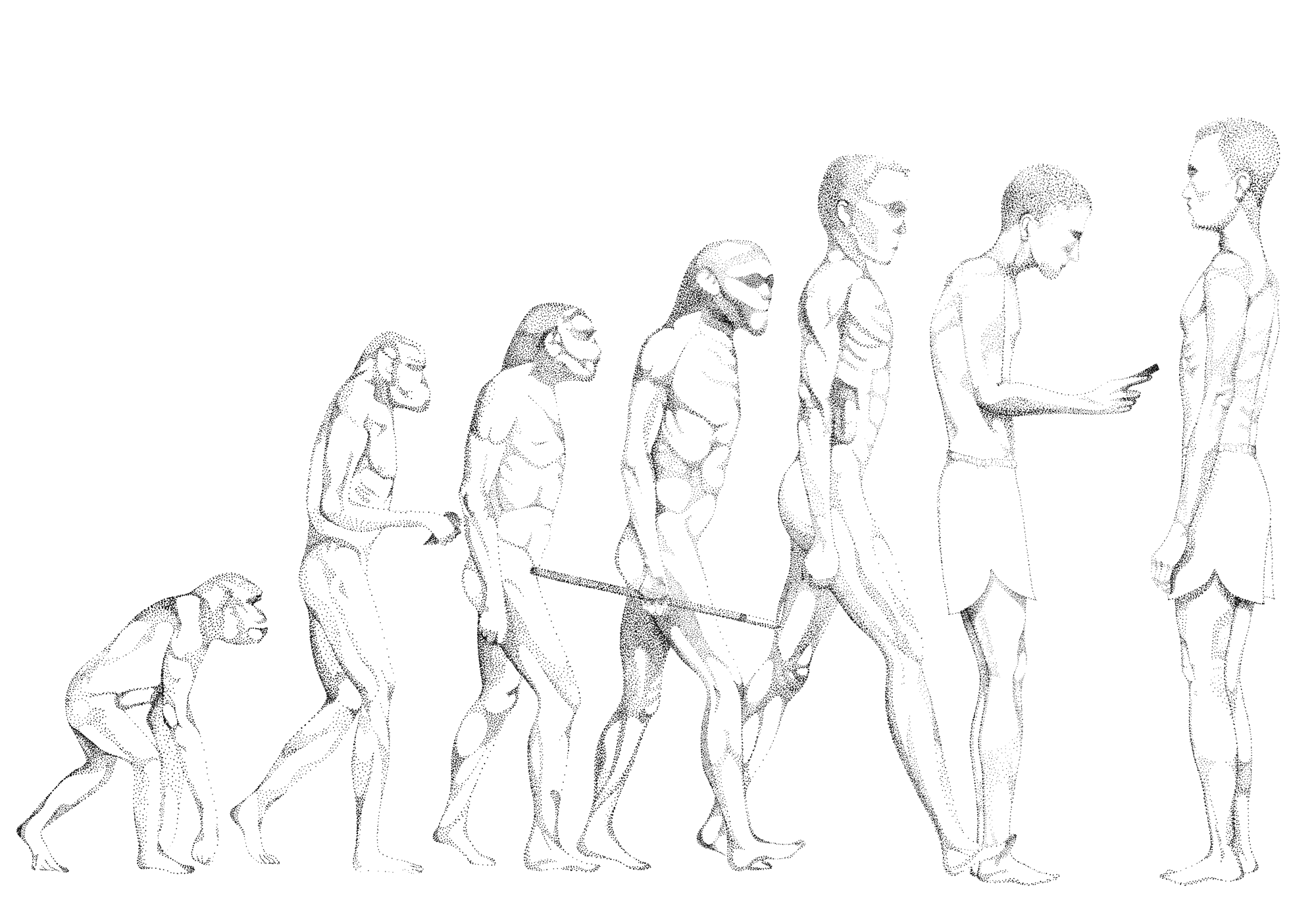 primal-structure-main.gif