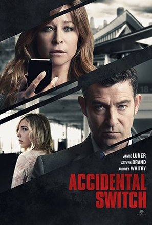2. accidental-switch-movie-poster-md.jpg