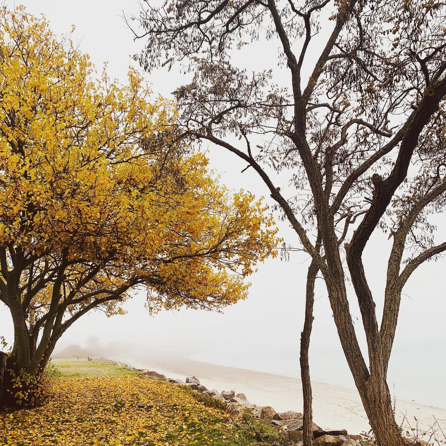 This morning I came across this beautiful scene here. I immediately thought of my mom and how much she loves the turning of the leaves in autumn in New England. And so I took this photo and sent it to her. But I wanted to also share it here because i