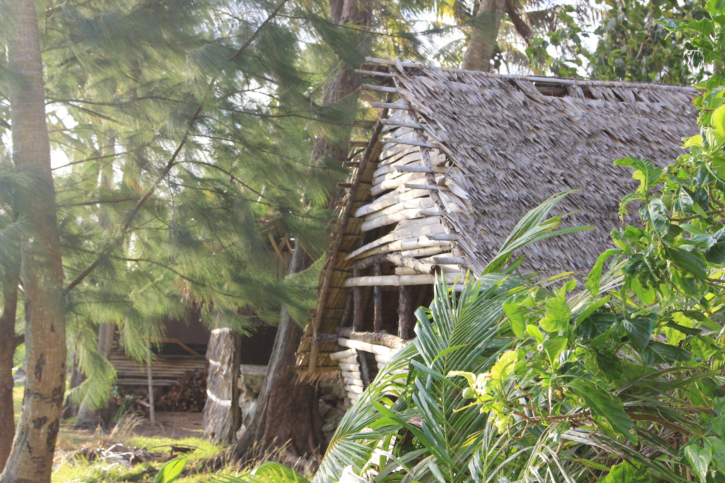 Hut at Gef Pa'go Cultural Village, Inarajan