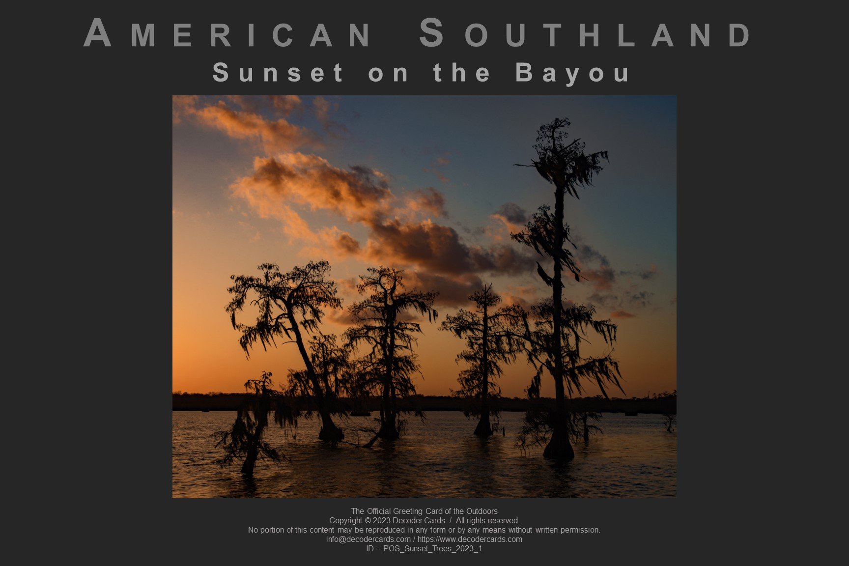 POS_Sunset_Trees_2023_1.jpg