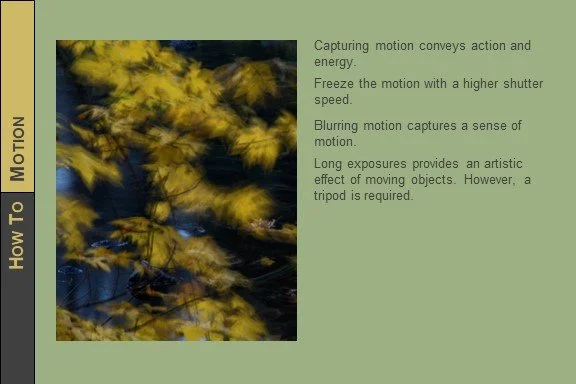 HOW_Photo_Tips_Motion_2023_1.jpg
