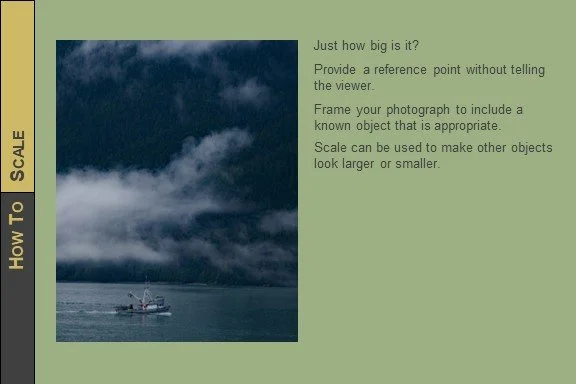HOW_Photo_Tips_Scale_2023_1.jpg