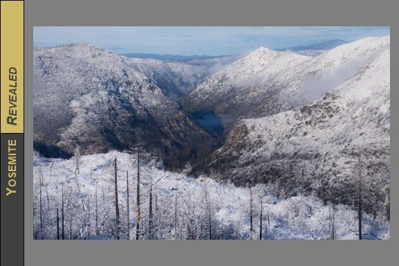 PC_YNP_Winter_2023_2.jpg