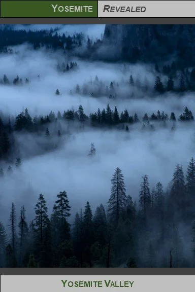 PC_YNP_Yosemite_2023_2.jpg