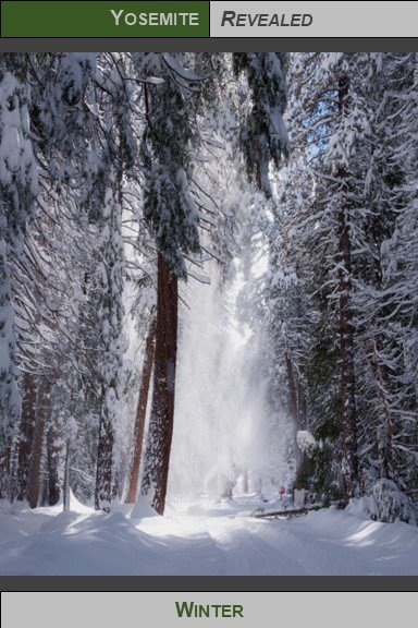 PC_YNP_Winter_2023_2.jpg