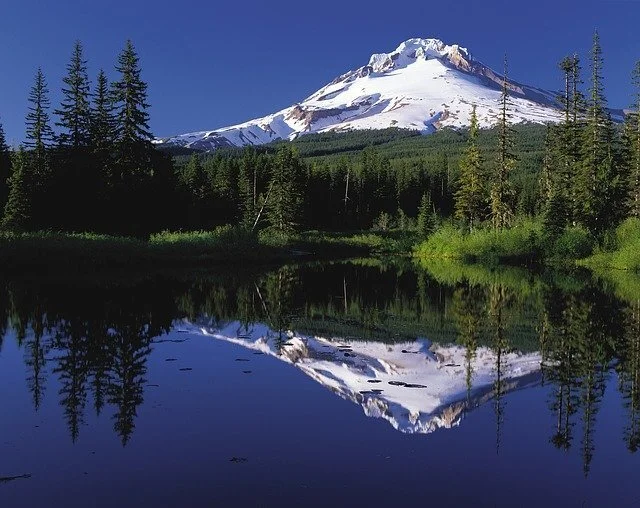 oregon-bls