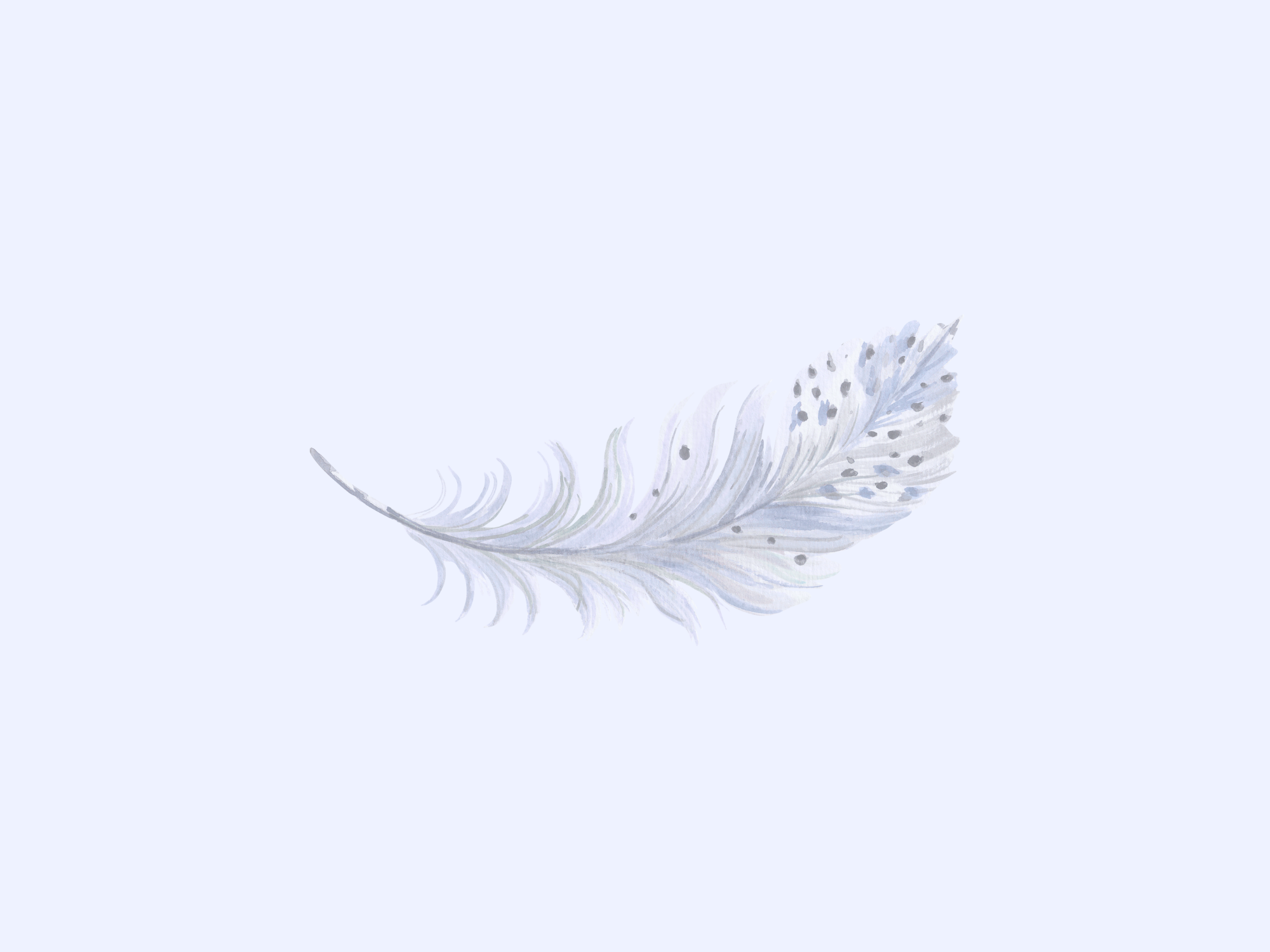 homepage cover.png