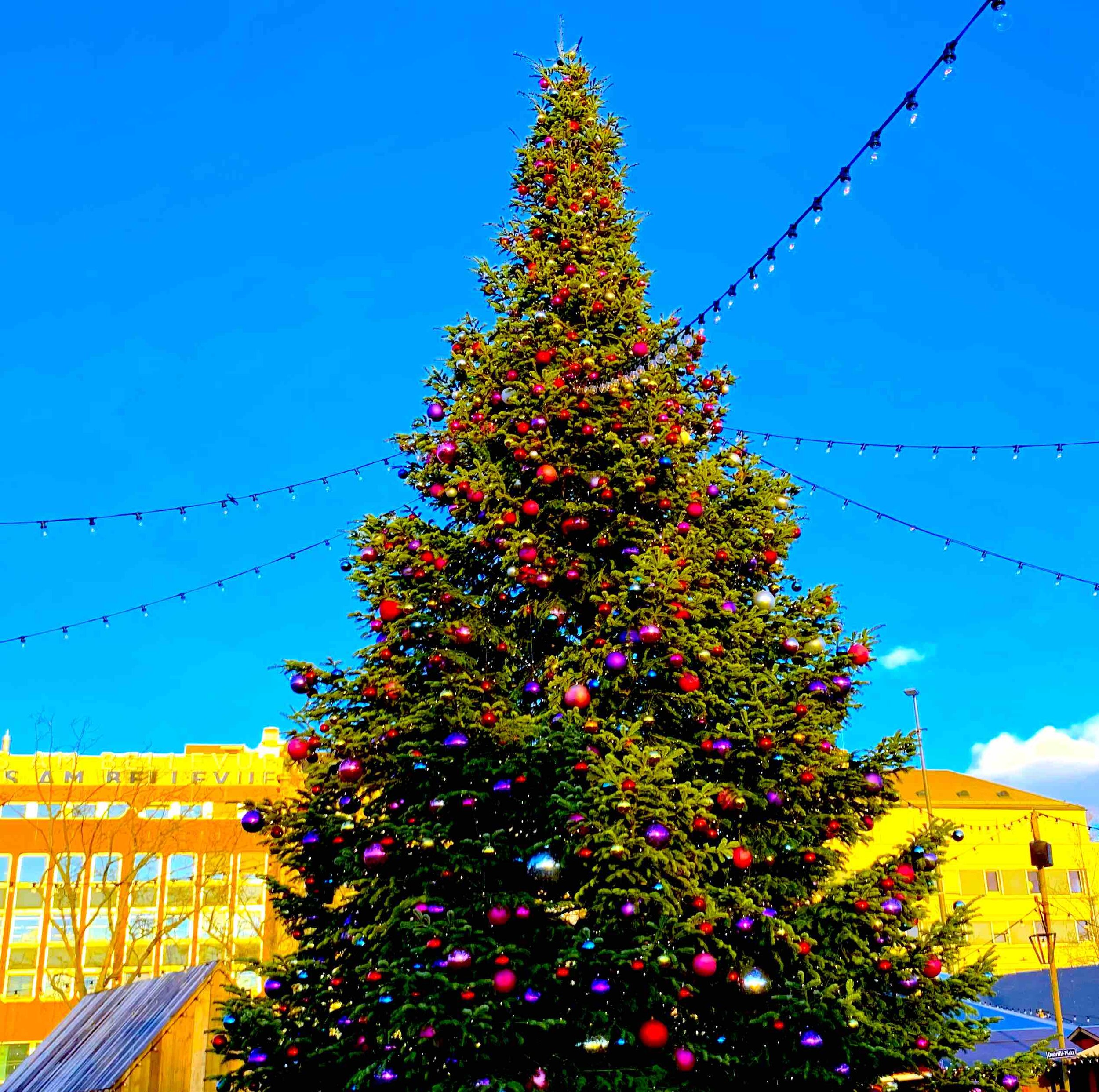 Merry Christmas &amp; Happy New Year