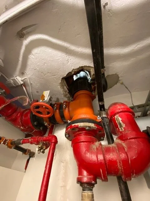 thumbnail_IMG_2045.jpg