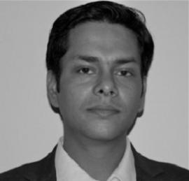 Mayank Garg Independent Advisor Energy Markets