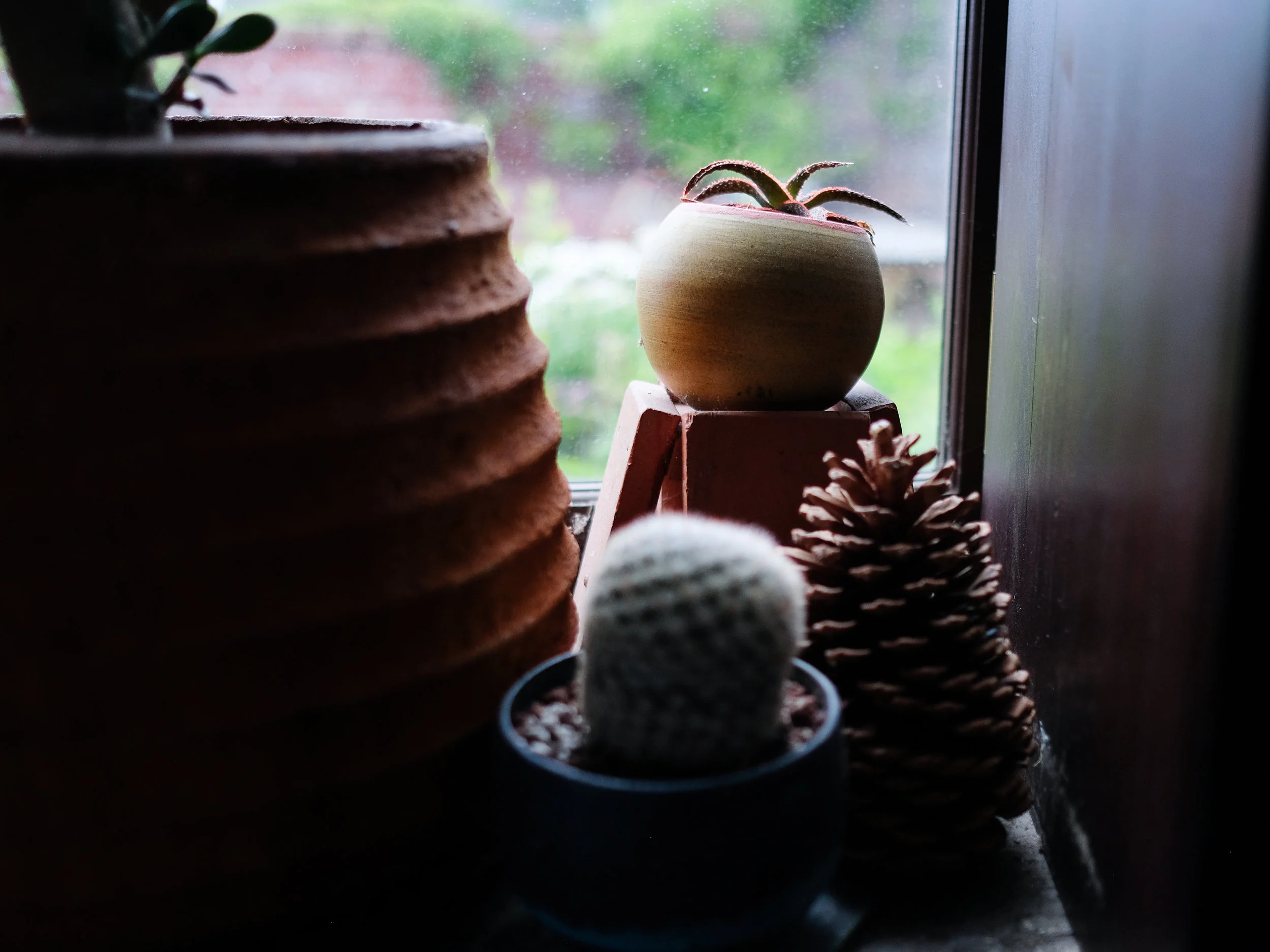 DSCF8763.jpg