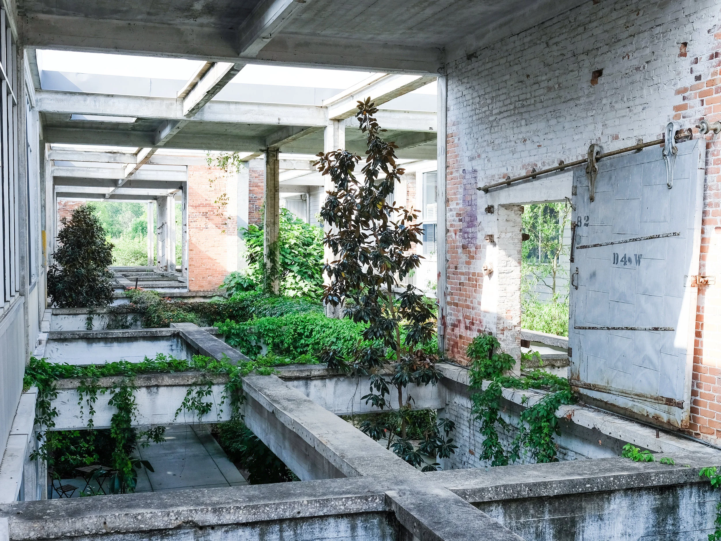 The Atlanta loft where we stayed in Old Fourth Ward felt like the apocalypse had come and all that was left were the plants. Dream home status.