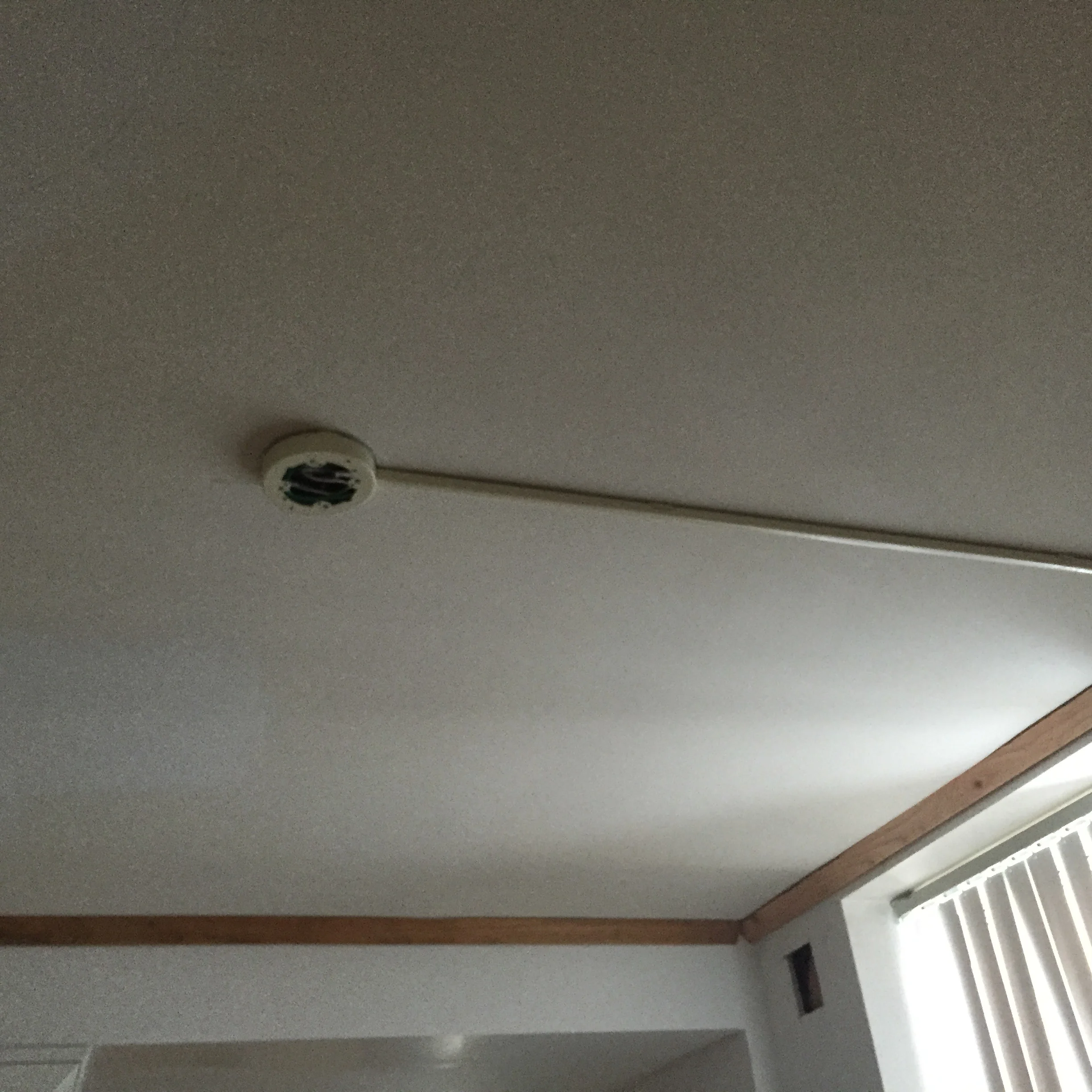 Since my ceiling are concrete (which is AMAZING for noise control, but doesn't allow overhead light), I had to run a wire outside of the wall to install the dining area pendant. I ultimately wished that I had placed this a little further into the room, but have made it work.