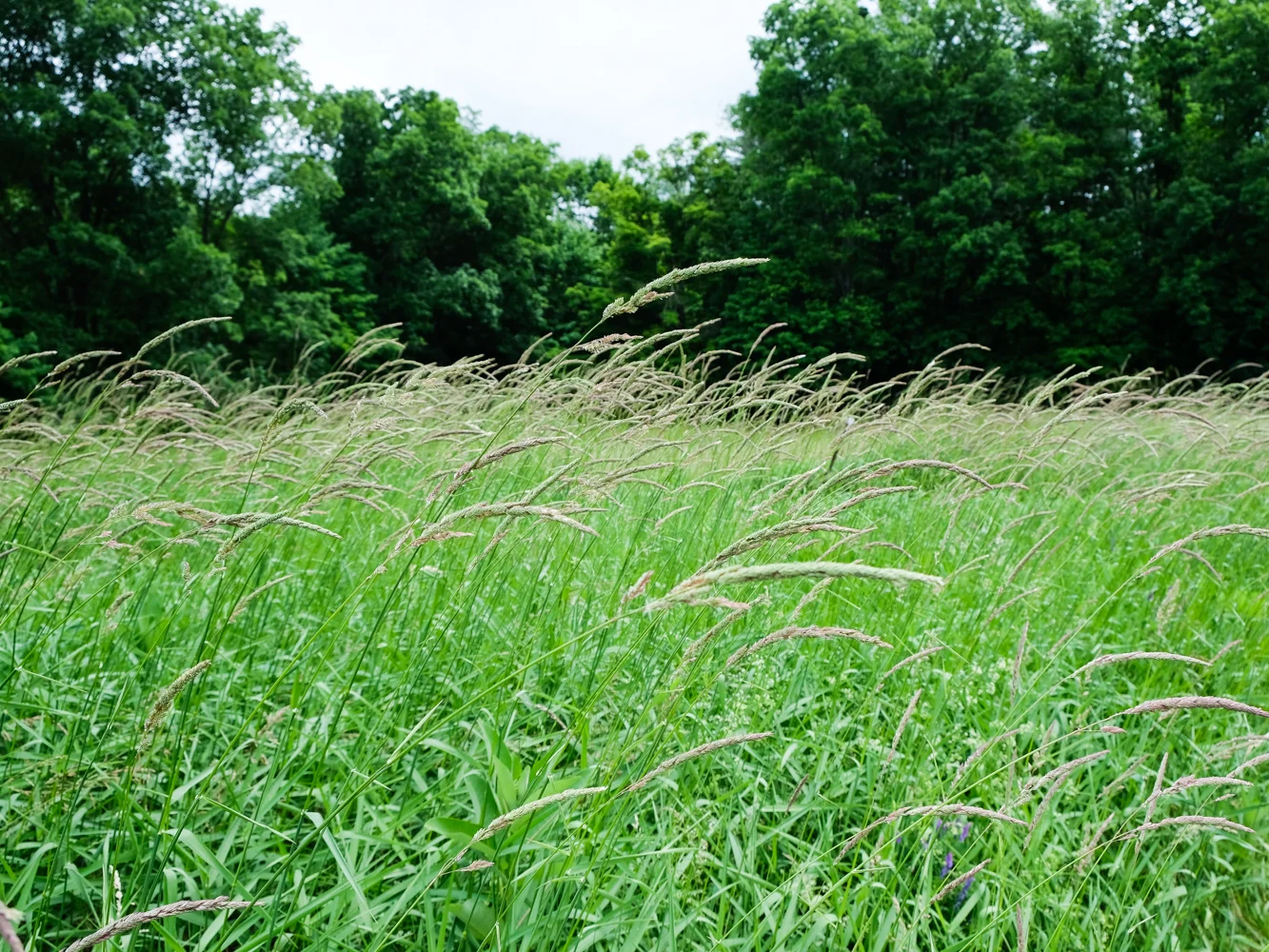 DSCF8381.jpg