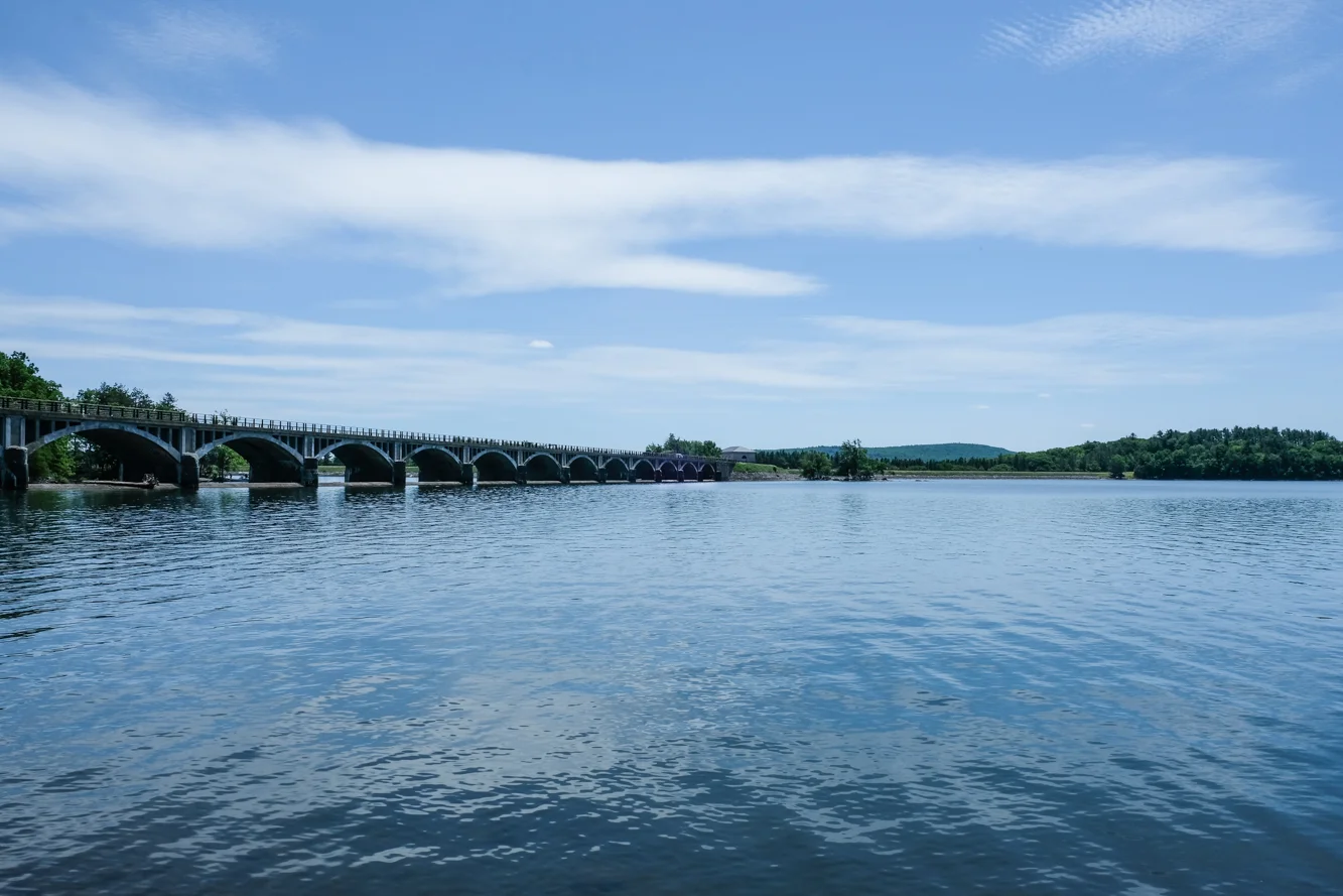 DSCF8500.jpg
