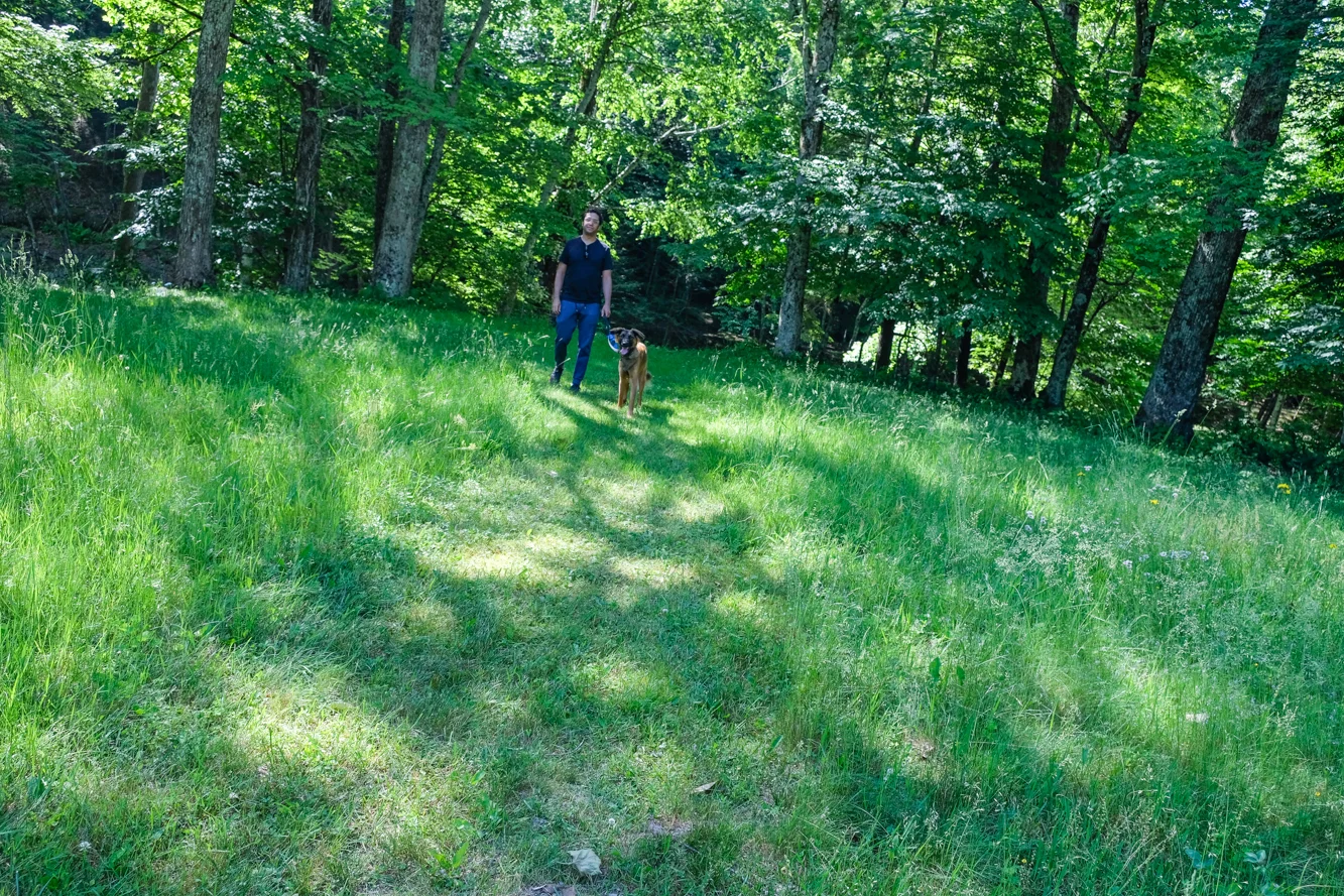 DSCF8582.jpg
