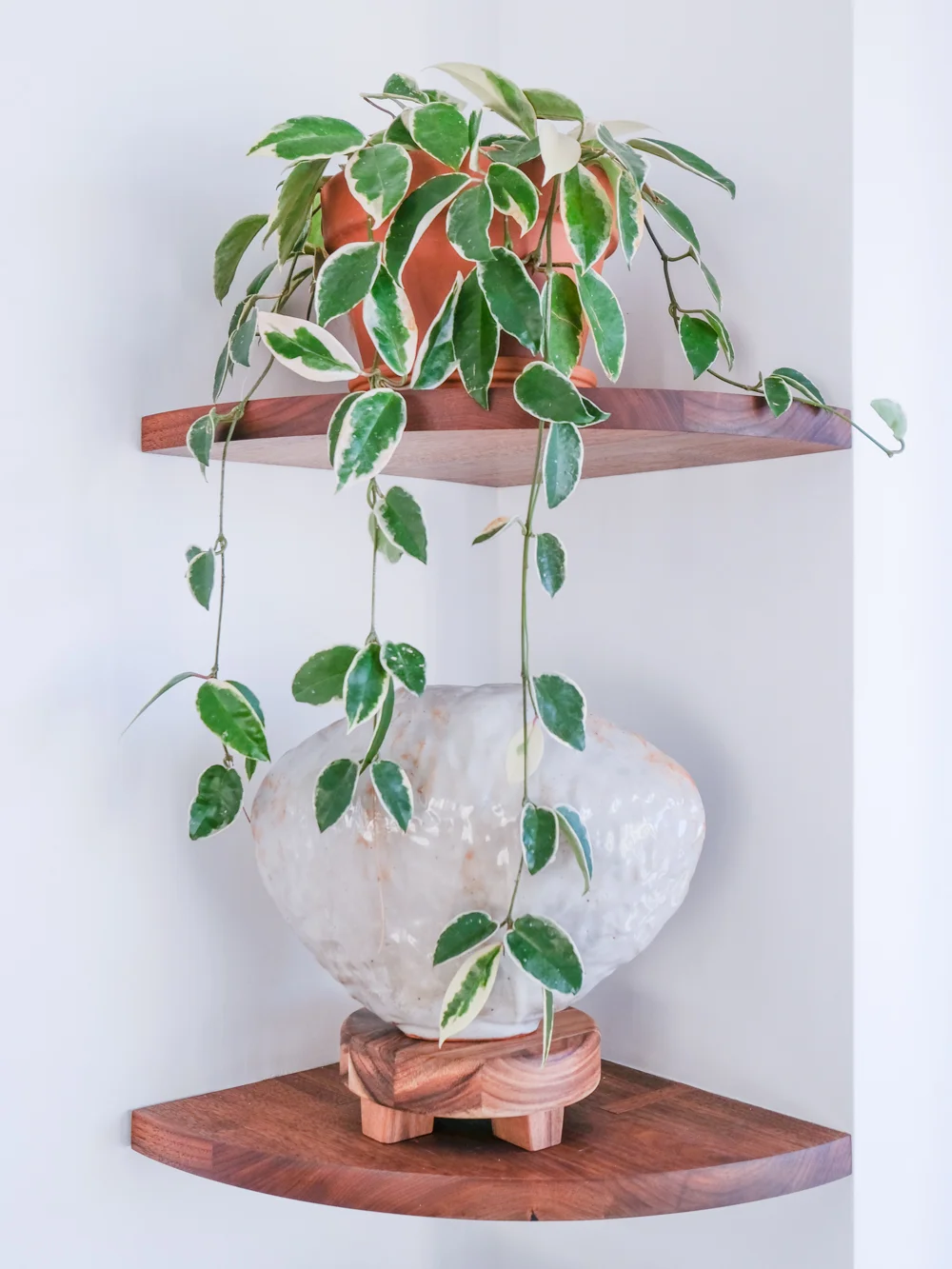These wooden trays are perfect plant and object stands!