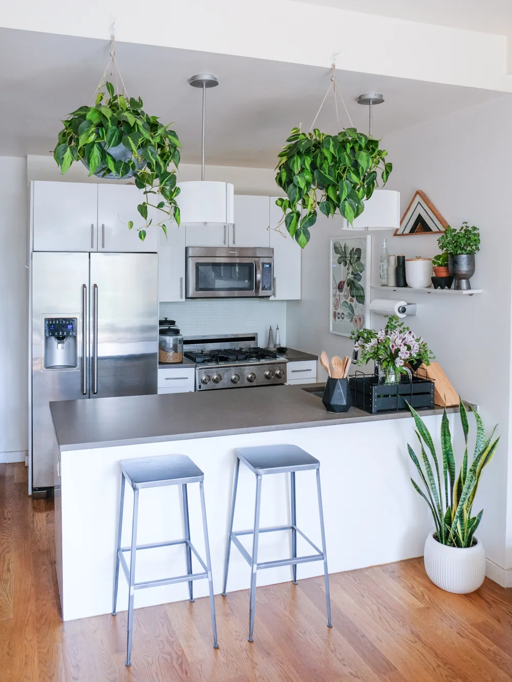 These Amazon planters have made my pothos plants very happy!
