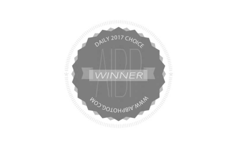 AIBP Daily Choice Winner.png