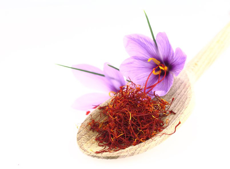 Le crocus  (Crocus sativus)