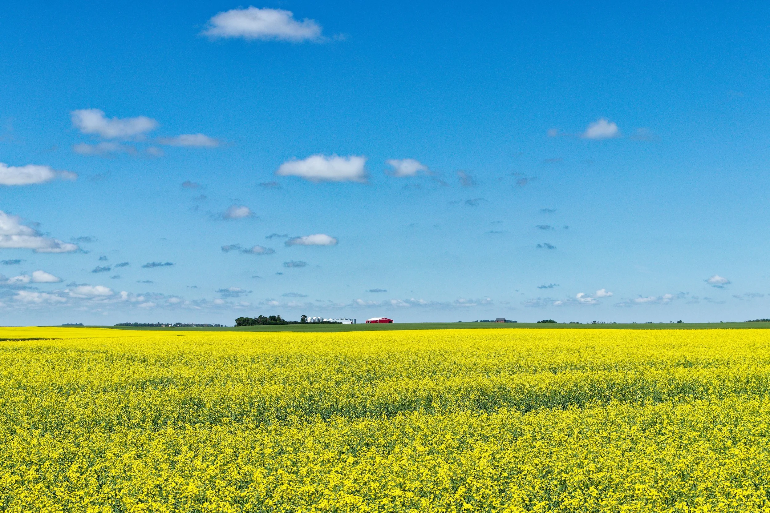 farm in saskatchewan