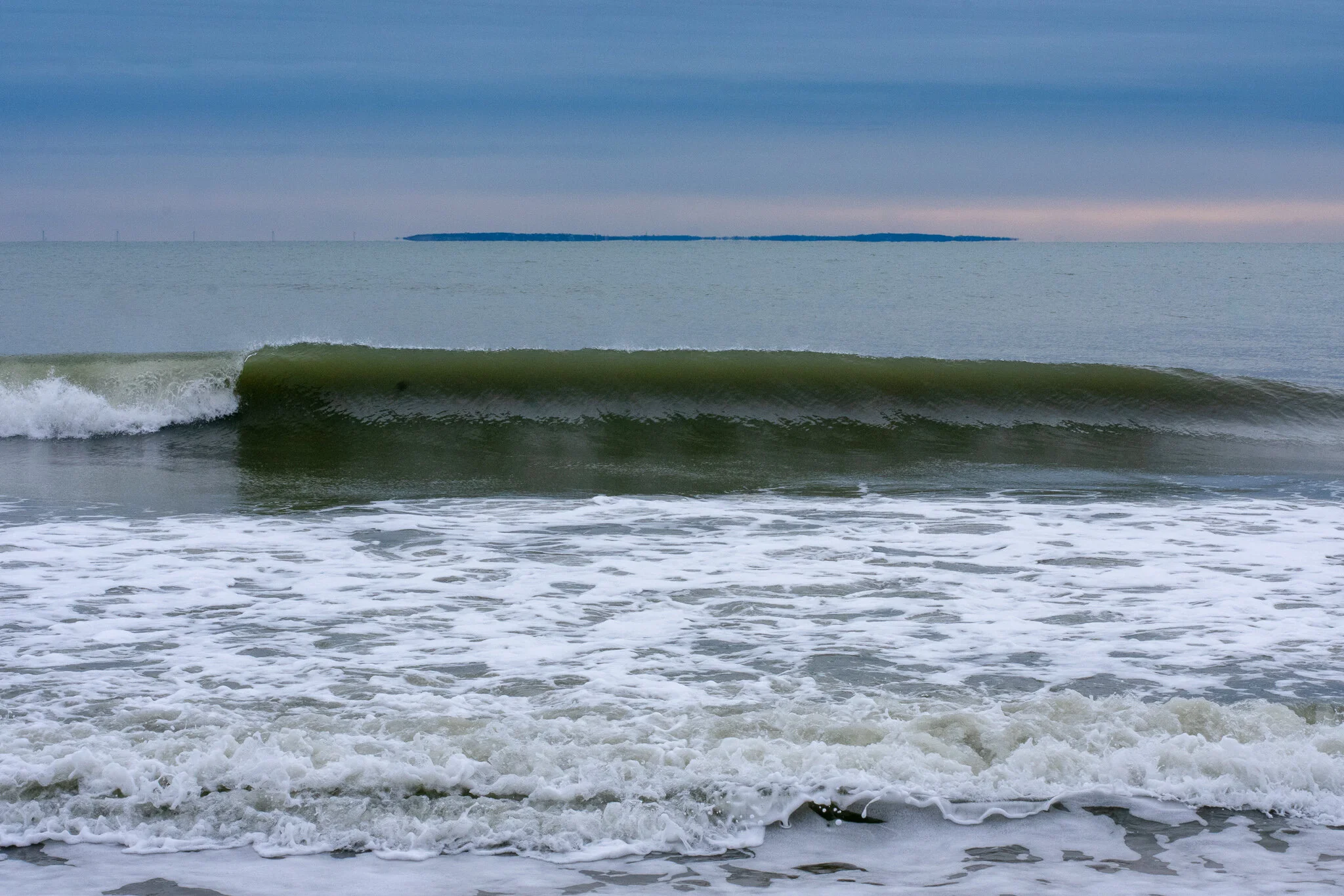 DSC_0100.jpg