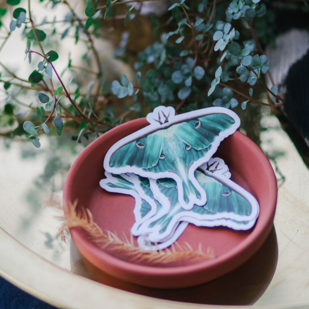 Luna Moth Sticker – Ketsol