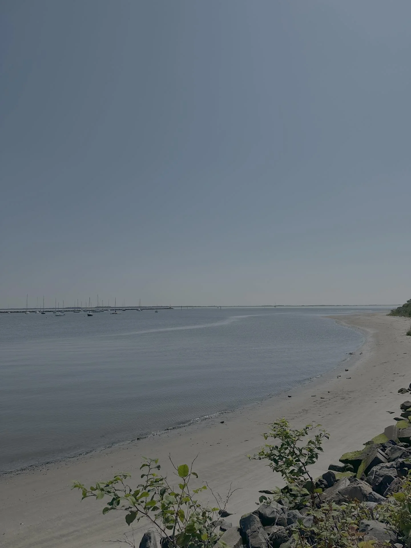 Finally summer on the Bayshore ❤️ ☀️