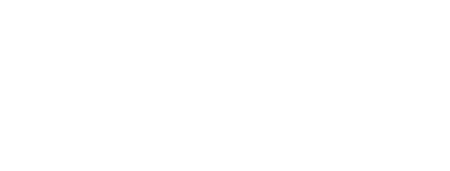 Little Monkey Photography