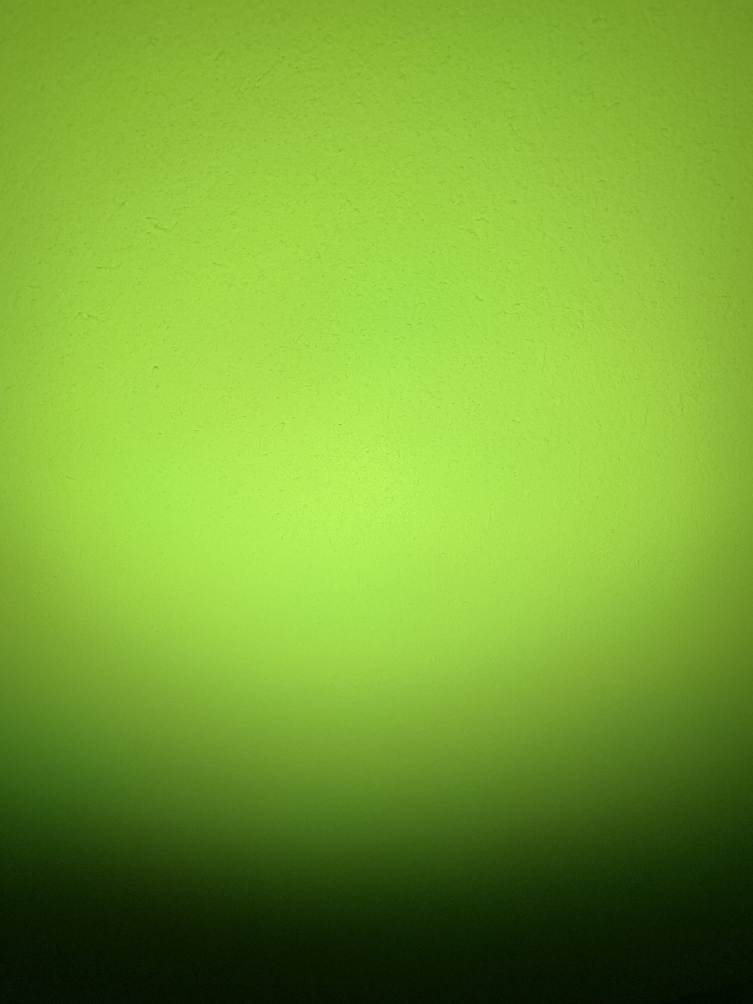 Light Green.JPG