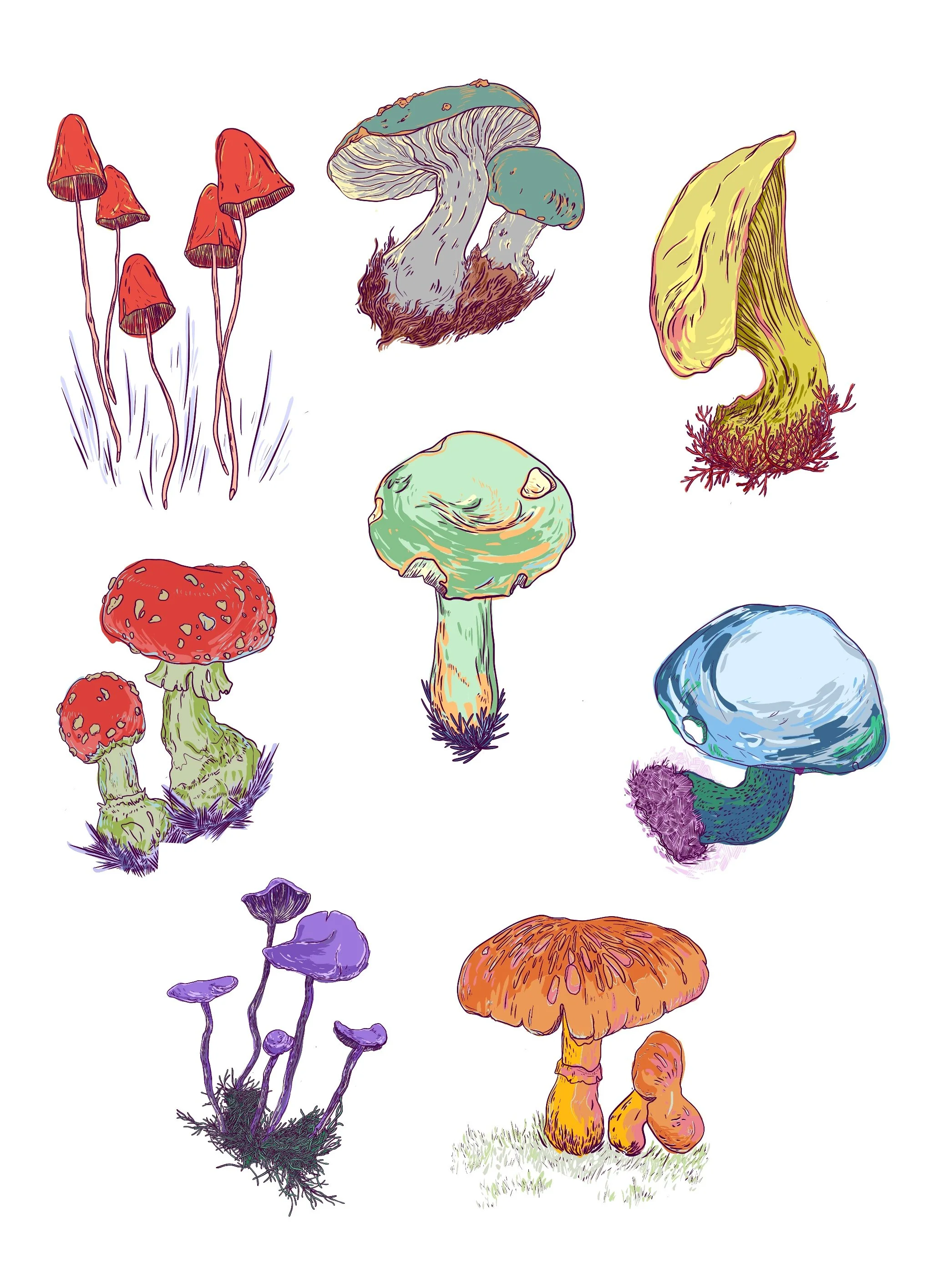 Mush Mush Mushrooms