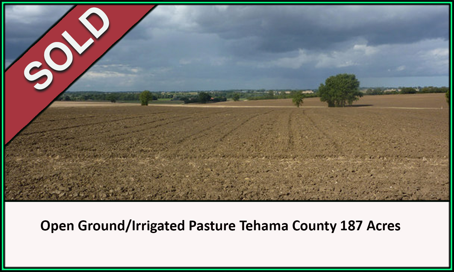 Open Ground Irrigated Pasture Tehama County California