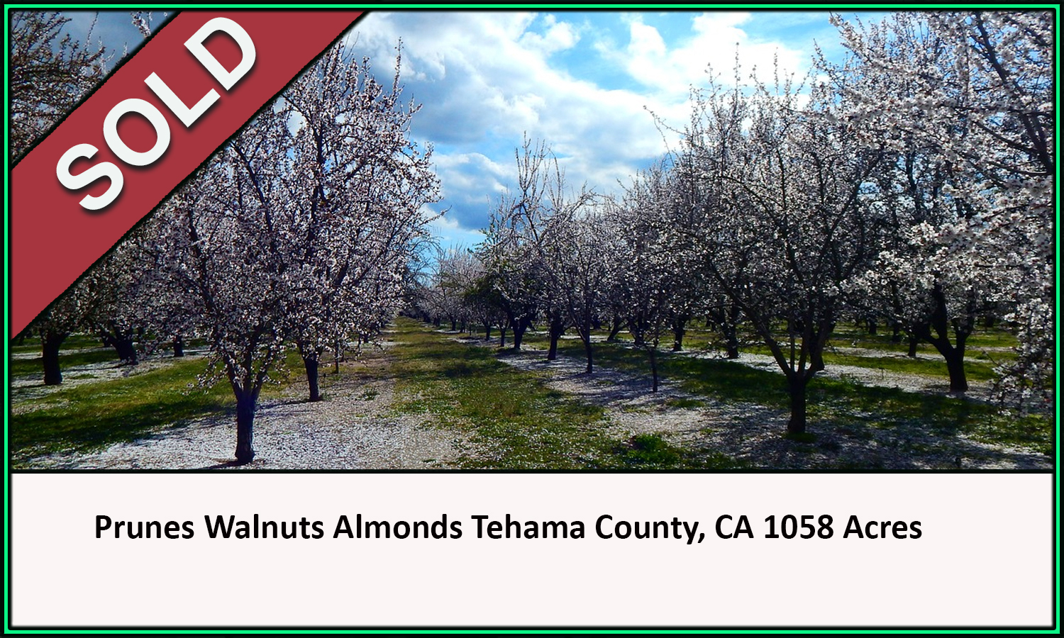 Prunes Almonds Walnuts Tehama County California 