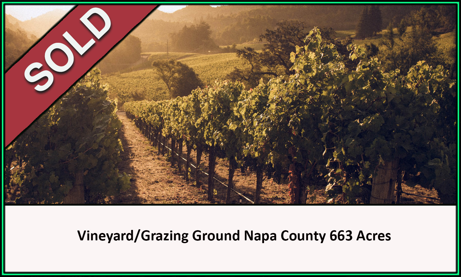 Napa County Vineyard Grazing Sold